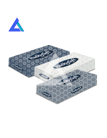 Veline facciali Bulky Soft - Ct. 40 scatole