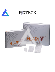 HEART Membrana in Pericardio mis. 20x20 x 0,2 mm. - Conf....