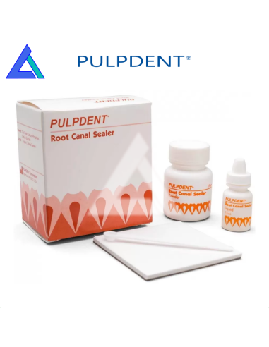 ROOT CANAL SEALER - polvere + liquido